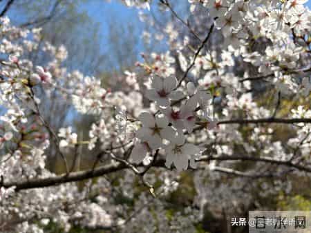 写人的记叙文,写人的记叙文作文600字
