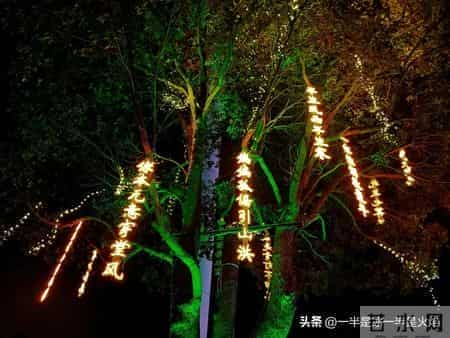 随笔：阅己，越己，悦己