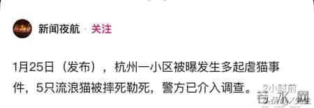 公寓管理员持杆打翻垃圾小猫,杭州虐猫事件后续：五只猫咪遭摔死勒死，警方介入，更多内幕曝光