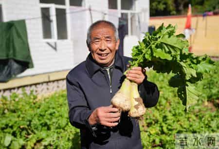 梦见别人给我梳头,梦见别人给我梳头扎辫子