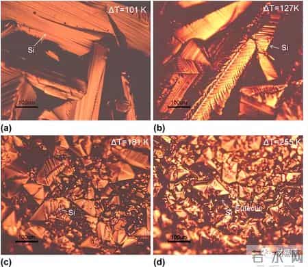 写的超细的C入过程