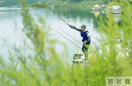 经常钓不到鱼，真的是技不如人吗？垂钓中需要注意这些细节问题