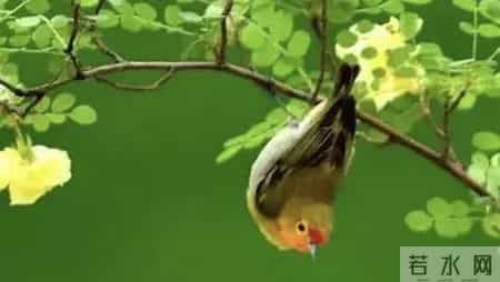 经典抒情散文,抒情散文大全100首