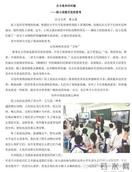 小苗与大树的对话教案,大树与小苗的对话