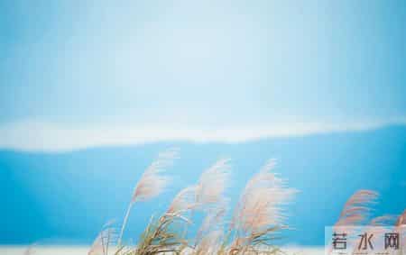 祁黄羊教学反思