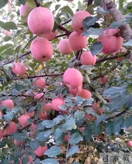 国学经典贤文观后有感