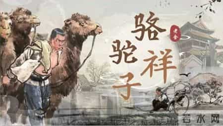 骆驼祥子观后感,骆驼祥子读后感300字