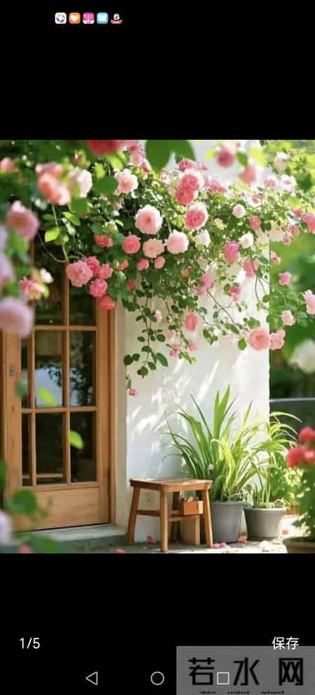 美好的回忆500字