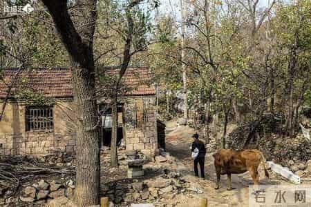 我愿做一棵树,我愿做一棵树一半在土里 一半图片