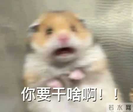 自我介绍模板大学生