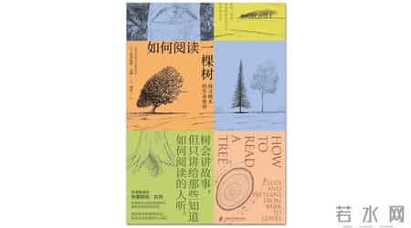 推荐一本书作文五年级400字