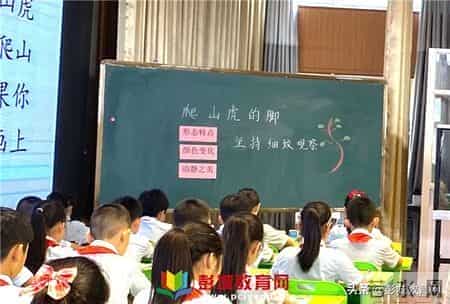 刘集实验小学：兰靖老师研讨课《爬山虎的脚》