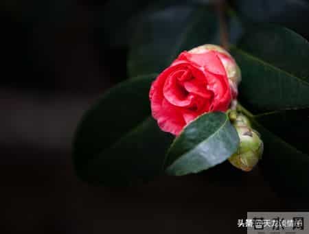 怎样做人,为人处世大全，建议收藏