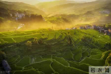 以国庆节为主题的作文