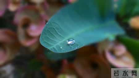 做个单纯的人，走一段幸福的路