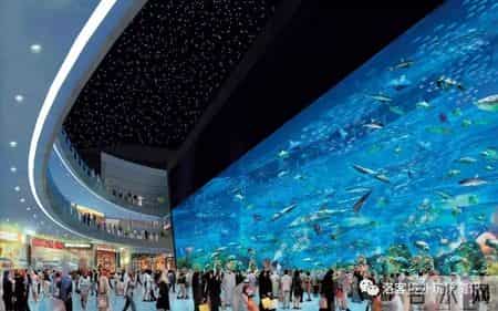 迪拜街头风光作文,迪拜旅游作文