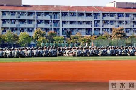 军训生活,军训生活感悟作文800字