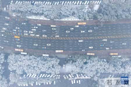 雪中即景作文,雪中即景作文350字