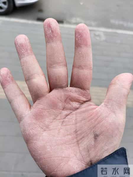 一夜的工作,一夜的工作课文朗读