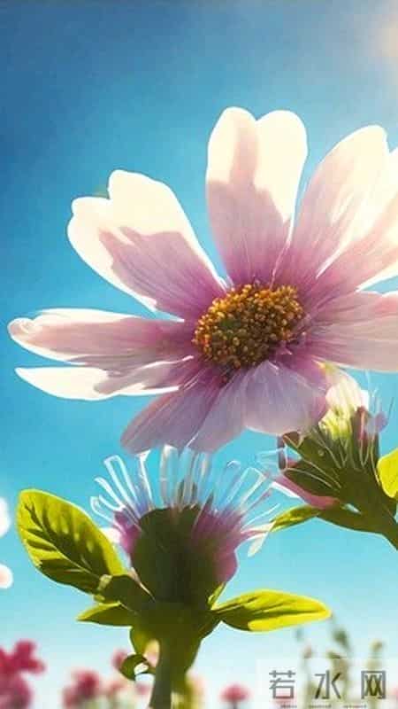 在心里遇见那个懂你的人，才是真正的奇迹