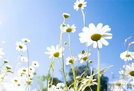 这天我回家晚了作文,【七年级作文：热爱生活，热爱写作】张诗杭《懂》（47）