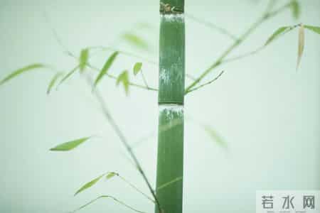 对偶句是什么意思