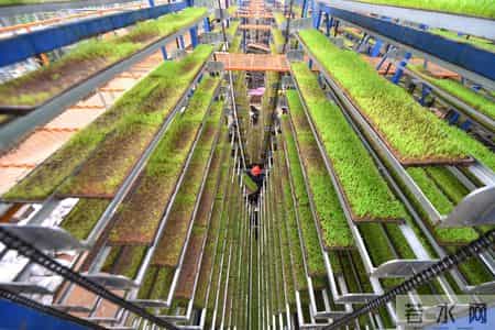 田野春天,2024春天田野里的新故事——各地高质量推进春季农业生产