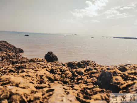 以金钱为话题的作文,以金钱为话题的作文800