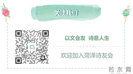 站成一棵树,站成一棵树什么意思