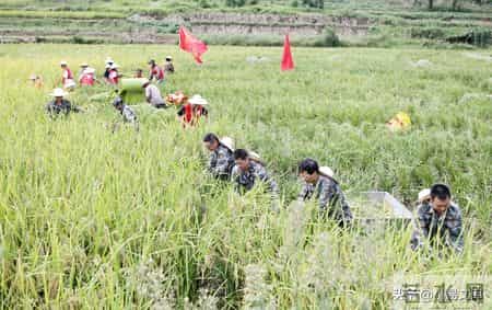 综合实践活动总结,综合实践活动总结600字