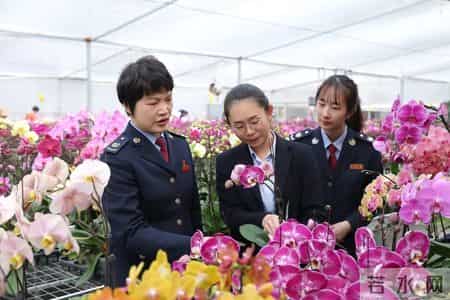 先进工作者推荐材料,先进工作者个人工作事迹