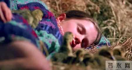 综合实践课,综合实践活动课程