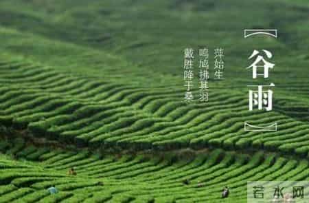 谷雨最美一首诗,雨生百谷，带你邂逅最美的谷雨诗词