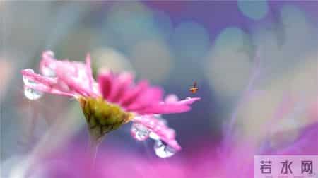 割舍的意思,引人深思的感悟句子，经典实用，寓意深长