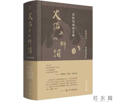 一本有魔法的书作文300字