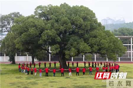 30周年班会举行,永州一中：学子毕业30年后再聚首