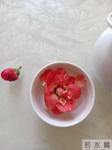 知己作文600字,青未了｜与世无争，岁月安暖（韩絮原创）