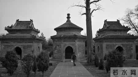 骆驼祥子观后感