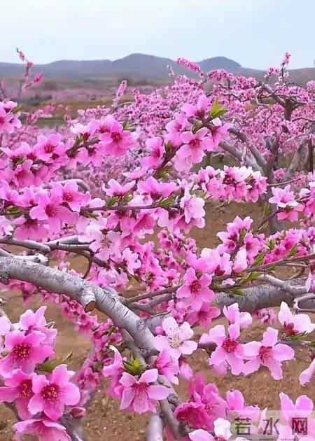 优美写景散文,优美写景散文摘抄600字左右