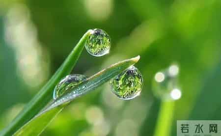 美文欣赏网,美文欣赏