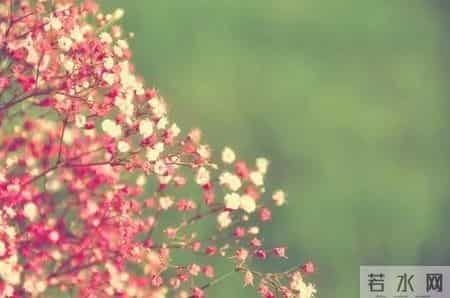 席慕容 青春,席慕容：青春是一本太仓促的书，我们含着泪，一读再读