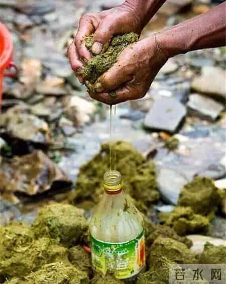 喝了一碗贵州牛瘪汤，味蕾像被野牛施了一泡农家肥