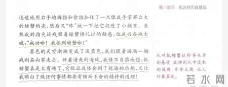 经历 作文,我的成长经历作文