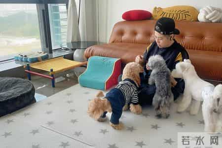 新春走基层｜留深5年，给“毛孩子”过个温暖年