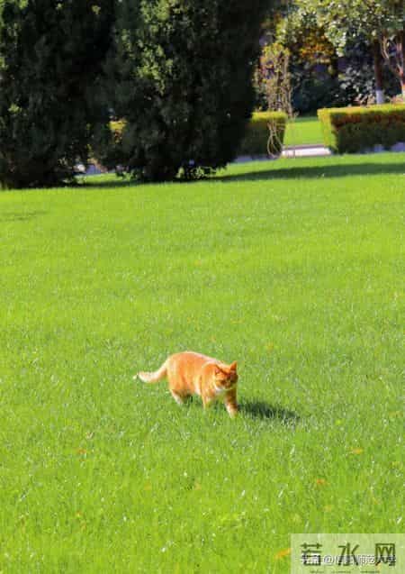 新的一年再出发!2024考试日历请查收!