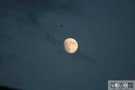 伴君入眠,史上最孤独的一首宋词，意境高远，影响世人900年