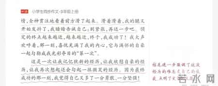 经历 作文,我的成长经历作文