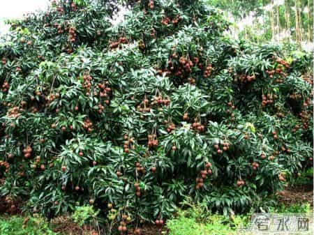 看！这幸福的百元大钞