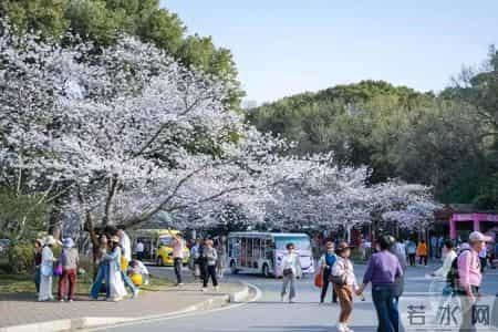 2017高考时间安排,2017高考时间是几月几日
