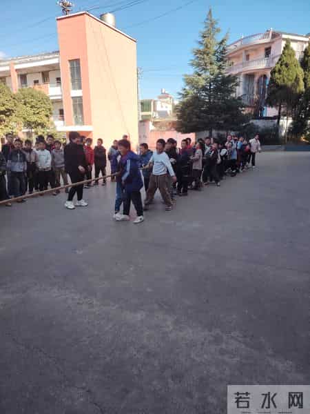 二年级班务工作计划,小学2026年度工作计划